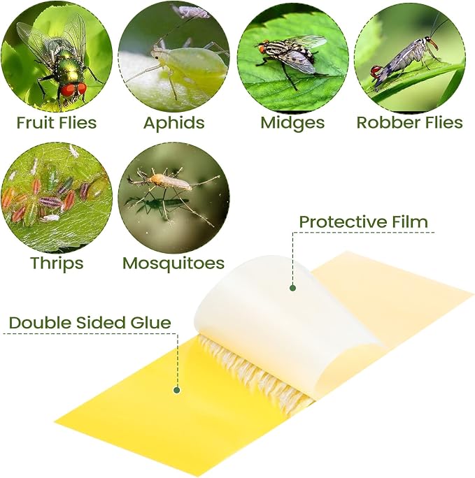 Qualirey 300 Pcs Sticky Houseplant Traps Fungus Gnat Fruit Fly Trap Sticky Houseplant Stakes Insect for Outdoor Garden Aphids, Whiteflies, Fruit Flies, Fungus Gnats, and Other Insects (Yellow)