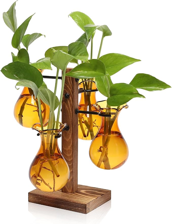 Plants Propagation Stations Bulb Glass Propagation Birthday Gift for Women Garden Plant Lovers - 4 Bulb