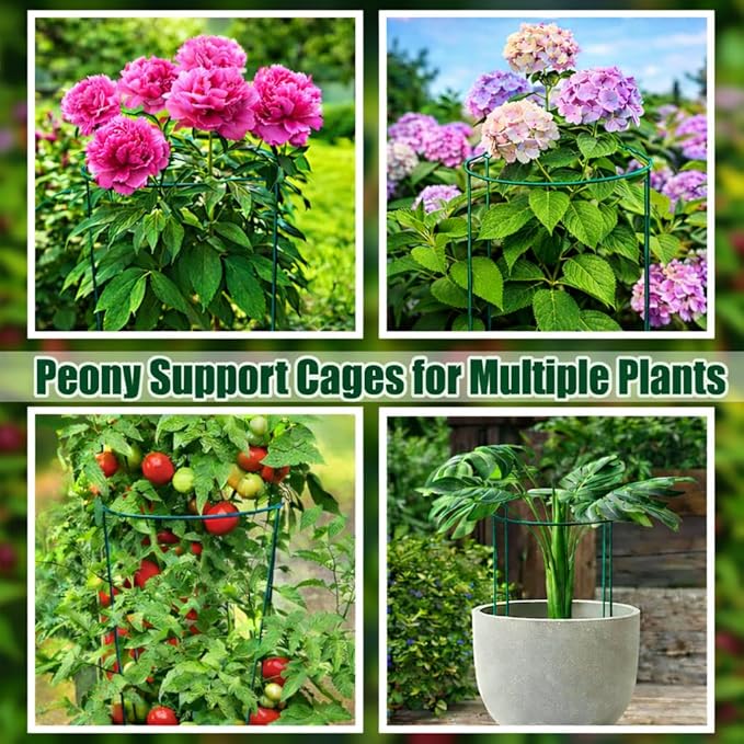 8 Pack Peony Support Cages, 10" W x 16" H Half Round Peony Plant Supports, Heavy Duty Metal Plant Support Stakes, Green Garden Plant Support Rings for Peony, Hydrangea,Tomato & Flowers
