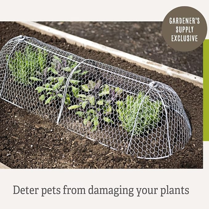 Gardener’s Supply Company Chicken Wire Cloche Garden Row Plant Protector | Sturdy Metal Protection for Seedlings and Crops from Wild Animals & Pets | 2 Section Set