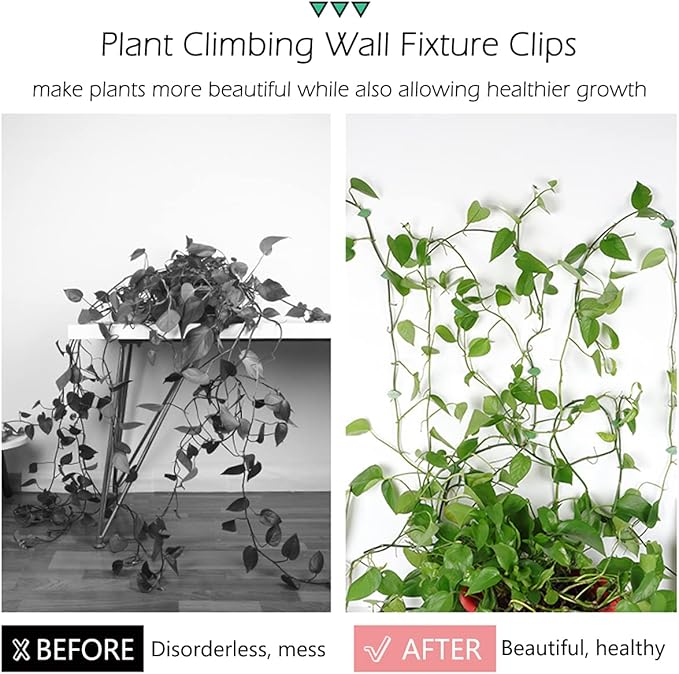 LUCKJUJU 40 Pcs Plant Climbing Wall Fixture Clips Self-Adhesive Hook Vines Traction Clips Invisible Holder Garden Green Leaf Simulation Self-Adhesive Hook Wire Fixing Supporting