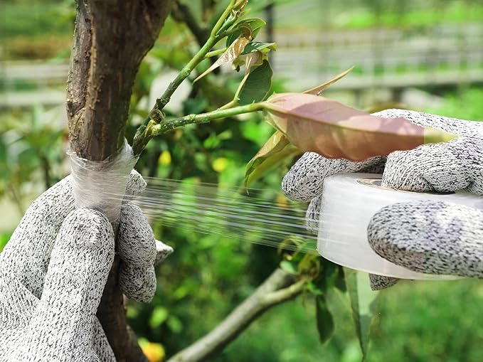 Nursery Grafting Tape Wide-2"-PE Grafting Film Buddy Tape for Fruit Trees/Plant Self-Adhesive Stretchable Film for Grafting,Budding for Gardening Grafting Tool