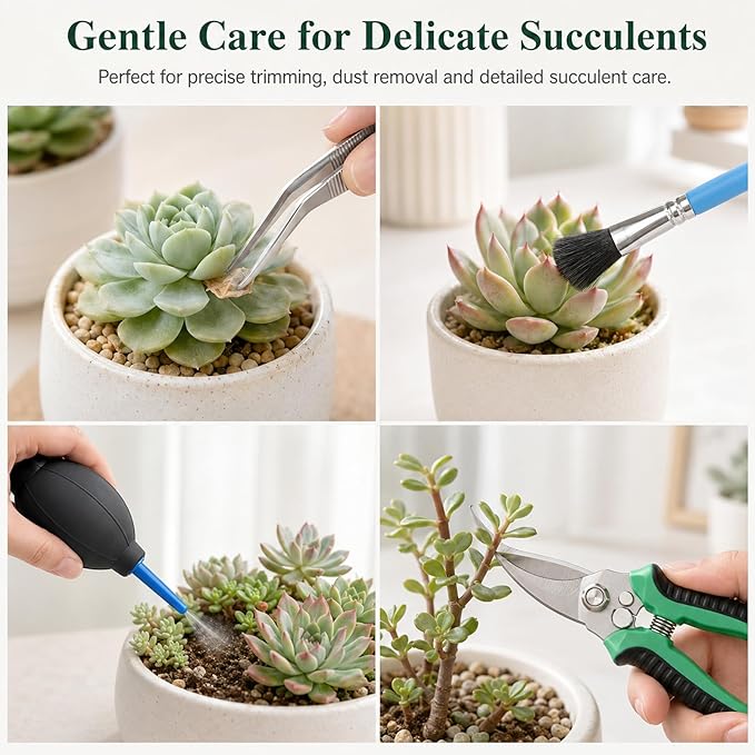 25 Pcs Succulent & Bonsai Tools Set for Beginners, Indoor Plant Care Tool Set with Repotting Mat, Organizer Tote, Soil Moisture Meter, Pruning Shears, Mini Garden Tools, Gardening Gift for Women Men