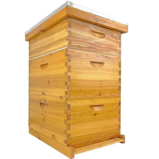 10 Frame Beehive Boxes, 3 Layer Langstroth Bee Hive Kit with 2 Deep Brood and 1 Medium Honey Super, 100% Beeswax Coated Wood Bee House, Professional Beekeeping Supplies - No Frames