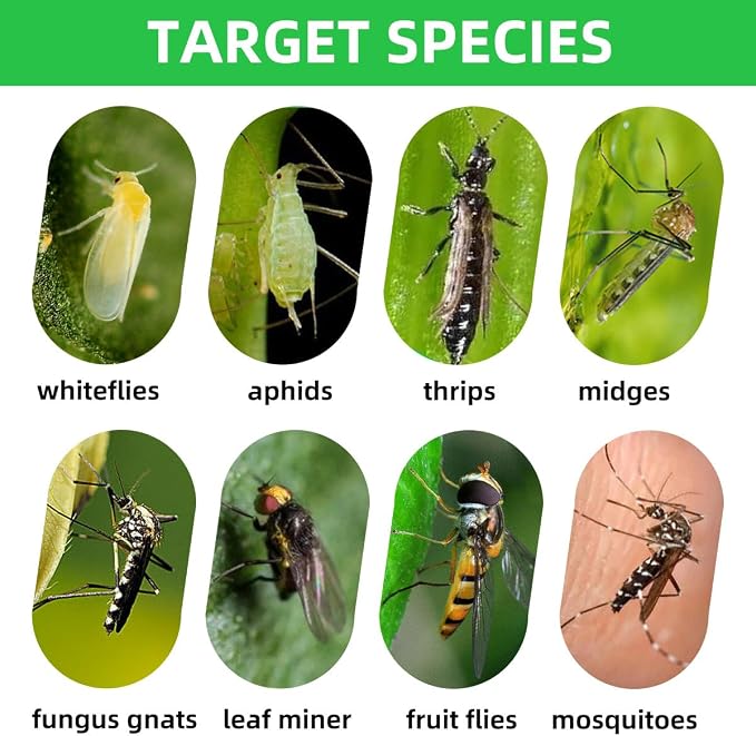 36 Pcs Sticky Traps for Fungus Gnat (Plants), Fruit Fly, Whitefly, and Fly, Yellow Sticky Insect Catcher Traps for Indoor/Outdoor, Kitchen, and Plants, High-End Glue, Non-Toxic (36 Pcs Yellow)