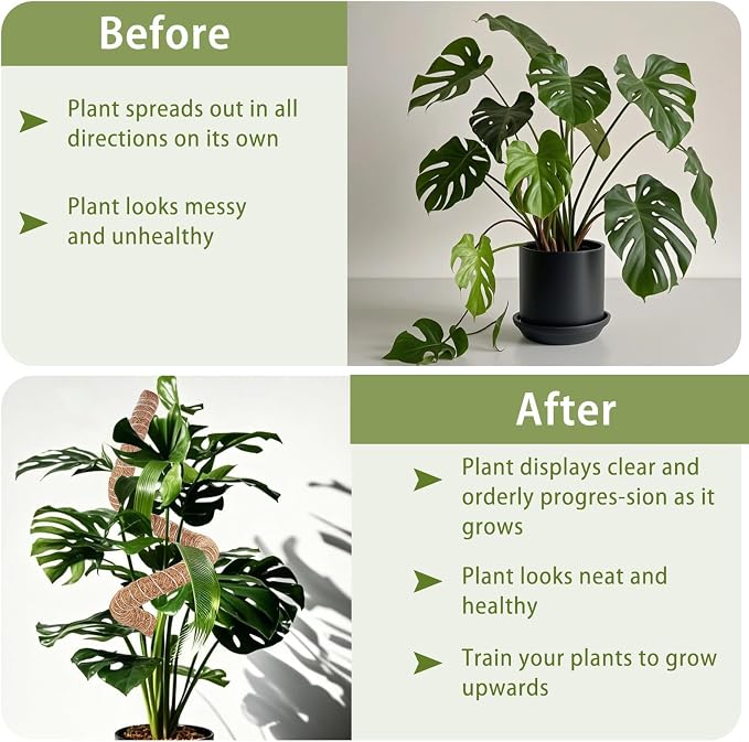 2 Pack Moss Pole, 63 Inch Monstera Plant Support, Moss Poles for Climbing Indoor Plants, Bendable Coco Coir Plant Support Stakes for Potted Plants, Pothos, Philodendron