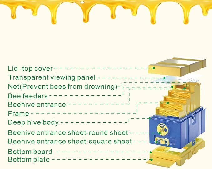 Queen Nuc Box Bee Mating Nuc Hive Bee House Mini Bee Hives Box Queen Rearing Box for Beekeeping (Blue)