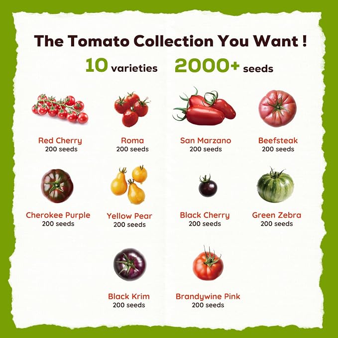 10 Heirloom Tomato Seeds - Open Pollinated Seeds for Planting Home Garden - Beefsteak, Roma, San Marzano, Cherokee Purple, Cherry Tomato & More