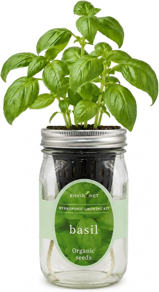 Hydroponic Growing Kit, Self-Watering Mason Jar Herb Garden Starter Kit Indoor, Windowsill Herb Garden, Grow Your Own Herbs from Organic Seeds (Basil)