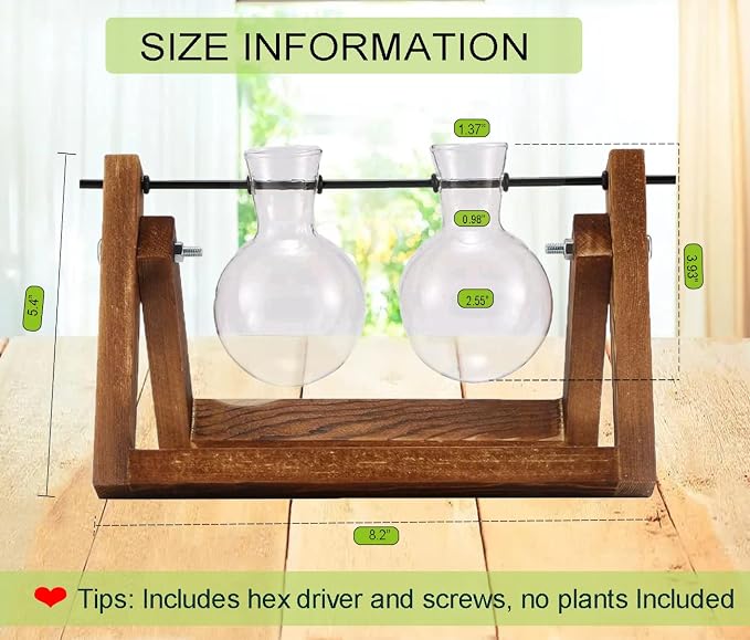 Kingbuy Glass Desktop Planter with Retro Wooden Stand, 2 Bulbs | Plant Terrarium Vase, Indoor Office Desk Decor, Accessories