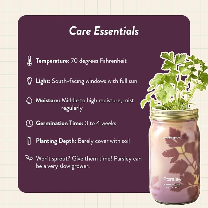 Modern Sprout Mason Garden Jar - Self-Watering Hydroponics Growing System Kit with Organic Herb Seeds - Jar Planter for Indoor Herb Garden - Seed Starter Kit - Gift for Mother's Day - Parsley