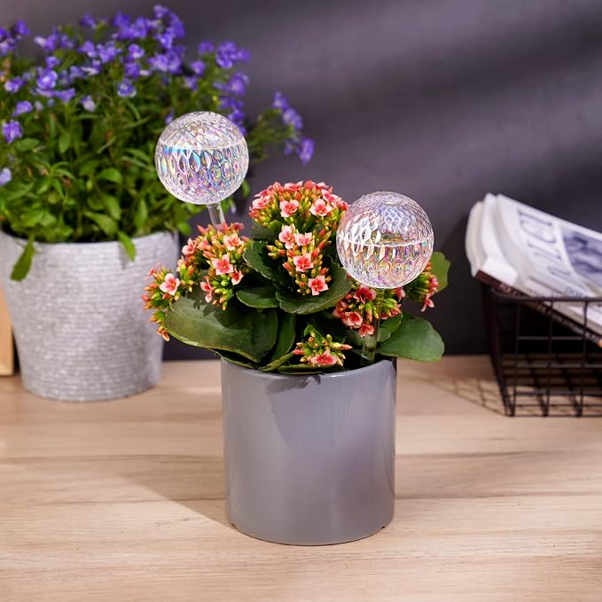Tomorotec Glass Plant Self Watering Globes 2-Pack Pearl Luster Clear Iridescent Plant Watering Devices, Diamond Indent Pattern Self Watering Bulbs Planter Insert Decorative Vacation Watering Spikes