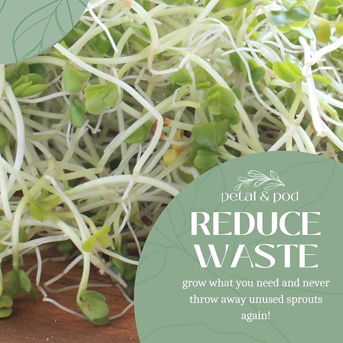 Petal & Pod Microgreens & Sprouting Seeds (12oz) - Mung Bean - Seeds for MicroGreens Growing Kit and Sprouting Jars