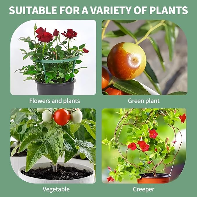 12Pcs Plant Support Stake,Half Round Plant Support Ring with 20 Pcs Clips,Plastic Plants Cage Holder for Small Plants Flower Vegetable,Indoor Leafy Plan t(Green,Size:24 x 14cm/9.45 x 5.51inch)
