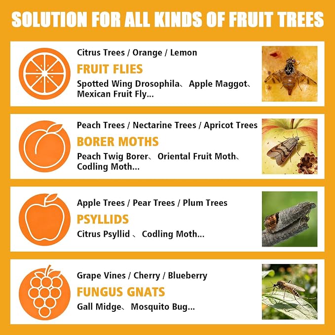 Sticky Insect Trap Ball, Osseph Fruit Fly Trap Balls for Indoor Outdoor 6pc, Physical Extra Sticky Hanging Bug Ball Catches Flie Gnat Wasps Mosquitoe Flying Insects (Orange)