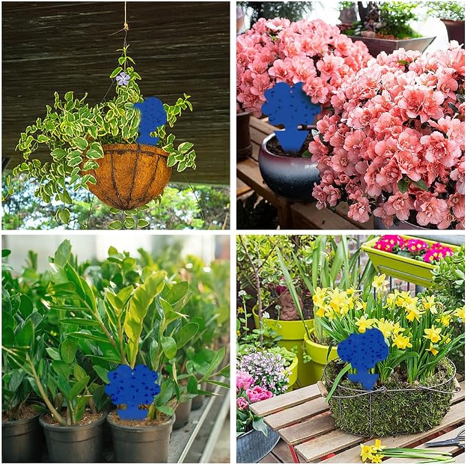 58 Pack Gnat Killer Sticky Traps for Plants - Blue Fungus Gnat Sticky Trap for Indoor Houseplants, Fruit Flies, Whiteflies, Aphids - Family Friendly Design, Flower and Cloud Shapes