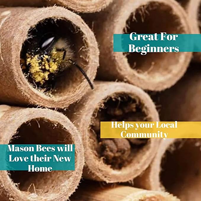 AukBeeFun Cardboard Mason Bee House Tubes 6 Inches Paper Tubes for Mason Bees (200)