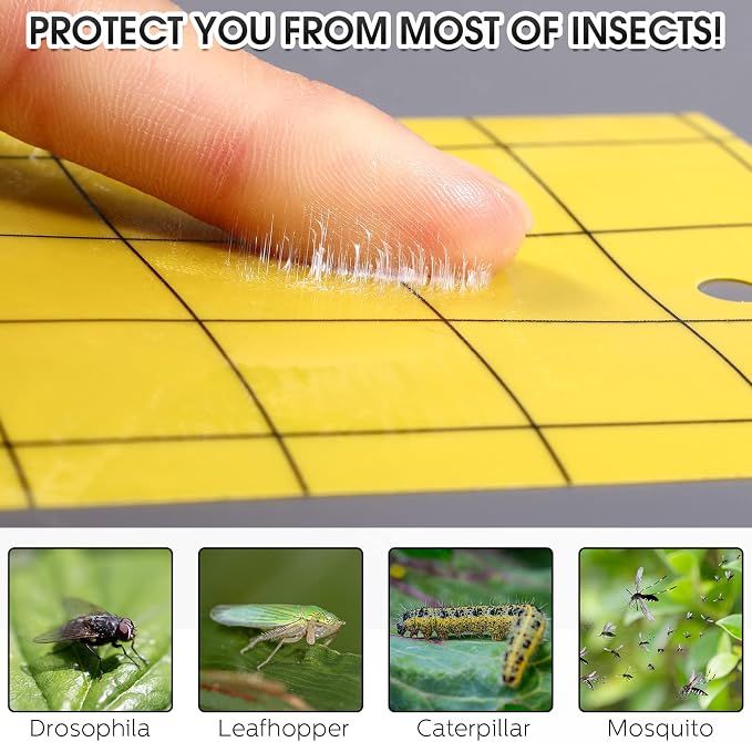 Qualirey 300 Sticky Trap for Gnats 3 x 5'' Dual Side Sticky Fruit Fly Trap with Tie Plant for Flying Insect Fungus Bugs Flying Catcher for Indoor (Yellow)