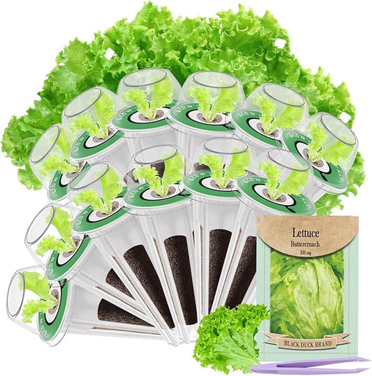 12-Pod Lettuce Seed Pod Kit for AeroGarden, iDoo, Ahopegarden Hydroponic Growing System, 350mg Seeds