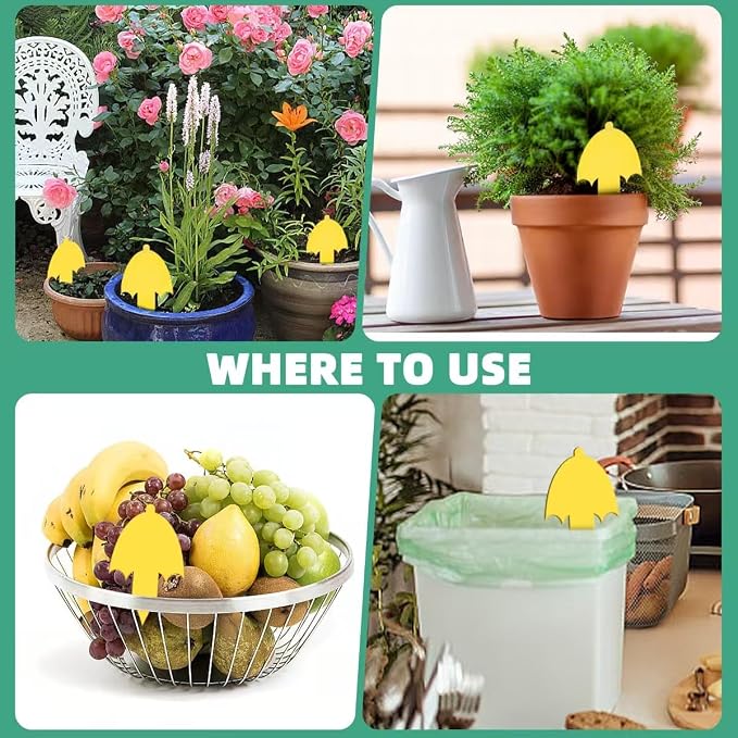36 Pcs Umbrella Sticky Traps for Fungus Gnat, Flying Insect, Whitefly and Fly, Yellow Sticky Insect Catcher Trap for Indoor/Outdoor, Kitchen, and Plants, High-End Glue, Pro-Grade 0.50mm Thick, 4 Shape