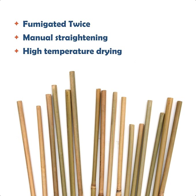 COLOtime Bamboo Stakes 2FT Garden Stakes Plant Stakes for Indoor Potted Climbing Plants Poles Sticks Support Peppers Orchid Daffodils 30 Pack