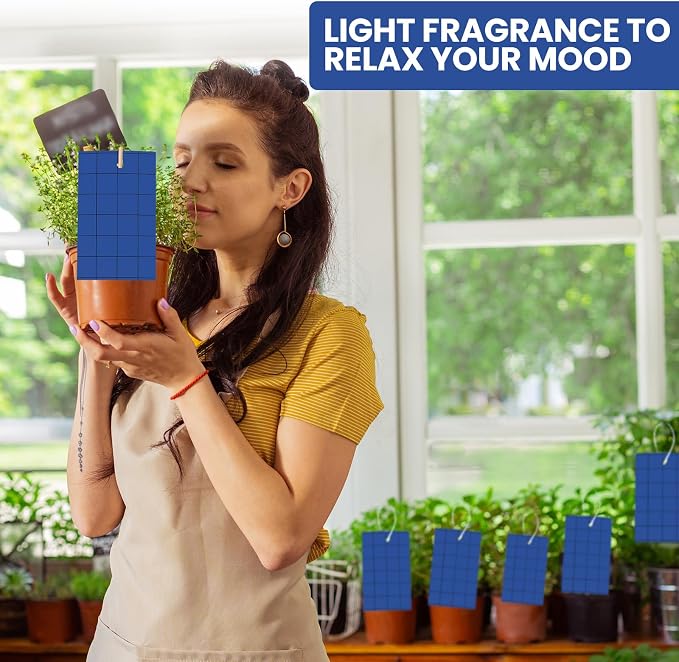 Qualirey 100 Sticky Trap for Gnats 3 x 5'' Dual Side Sticky Fruit Fly Trap with Tie Plant for Flying Insect Fungus Bugs Flying Catcher for Indoor (Dark Blue)