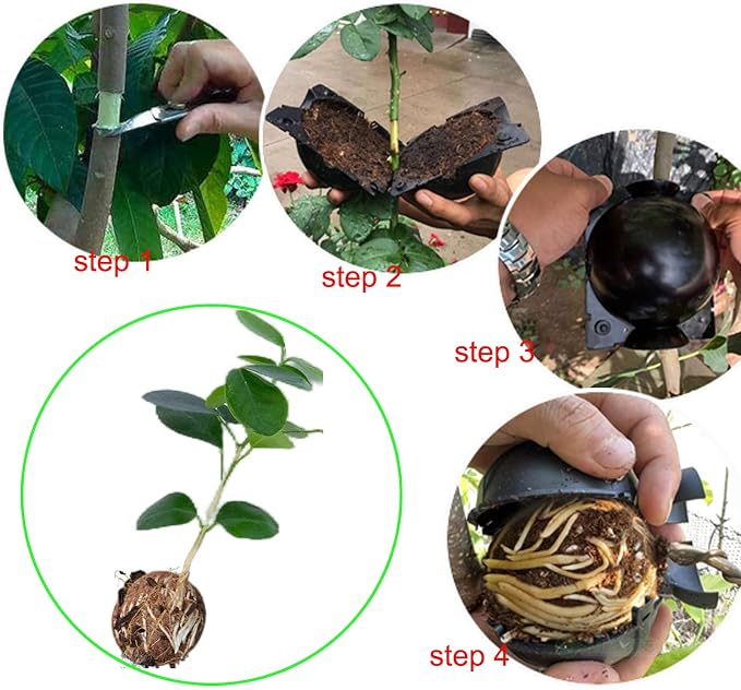 Tree Root Growing Box, Reusable Transparent Plants Asexual Reproduction Grafting Ball, High Pressure Air Layering Pods Propagation Kit (10pcs Meidum)