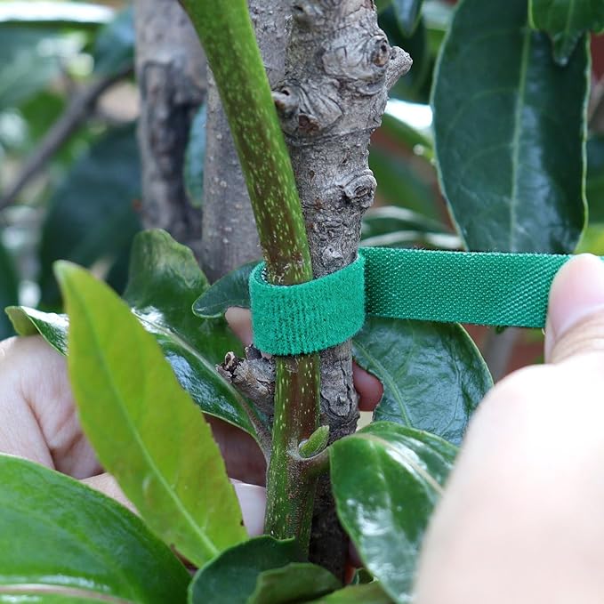 Extra Long Garden Tape, 65.6ft Reusable Plant Ties, Heavy Duty Supports for Climbing Plants, Adjustable Twist Ties for Plants, Flowers, Saplings, Vines