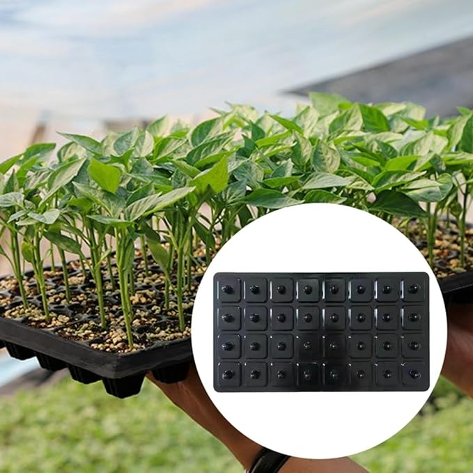 Seed Dibber Seedling Tray Tool Labor Saving Gardener Gift with Handle Garden Tool Quickly Setting Out Seed Spacer Soil Digger 50 Hole(32 Hole)
