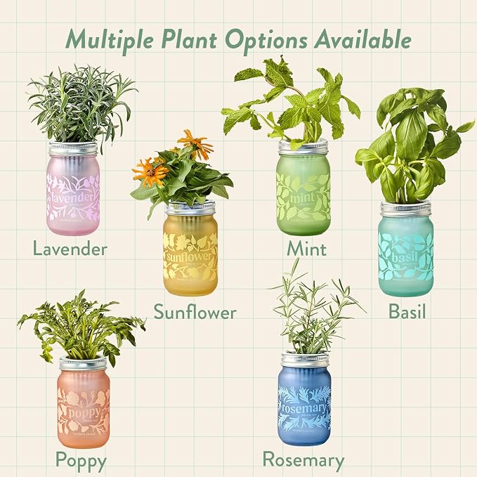 Modern Sprout Mason Garden Jar - Self-Watering Hydroponics Growing System Kit with Organic Herb Seeds - Jar Planter for Indoor Herb Garden -Seed Starter Kit - Decor & Gifting -Basil+Lavender+Sunflower