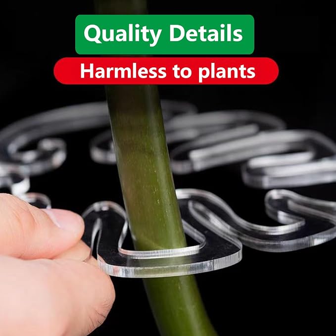 2PACKS Unique & Aesthetic Monstera Leaf Shape Grapple Plant Support, Grappler Rings, Plant Support Monstera with Ties, Keeps Plants Tame & Growing Vertical (Green)
