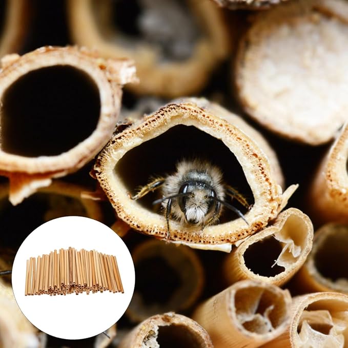 Garneck 300Pcs Natural Reed Bee Tubes 15cm Hollow Stems for Bee Nesting Pollination (0.5-0.8cm Diameter)