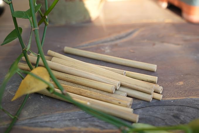 INature Solitary Bee Bamboo Tubes - 4" Length, Pack of 100, Perfect for Mason Bee Houses and Garden Pollination Kits