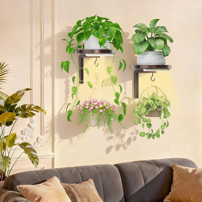 iDavosic.ly Wall Plant Holder with Grow Lights Set of 2 for Indoor Outdoor, Metal Hanger with 2 Hooks, Floating Flower Display Stand for Window, Space Saving & Easy to Assemble (Pots Not Included), Bronze