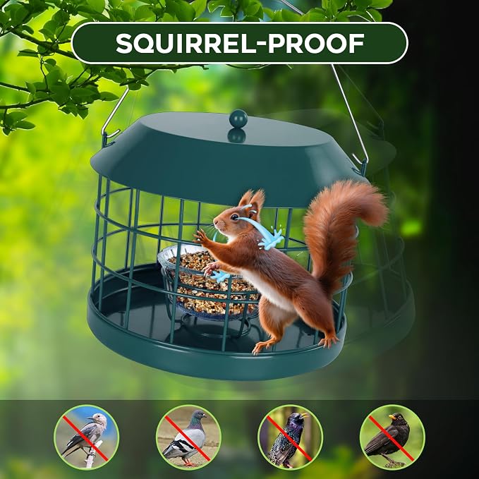 Gbekery Caged Bluebird Feeder for Mealworms with Glass Bowl, Squirrel Proof Bird Feeder for Small Birds Only, Detachable Hook, Large Space, Outdoors Weatherproof, Metal, Green