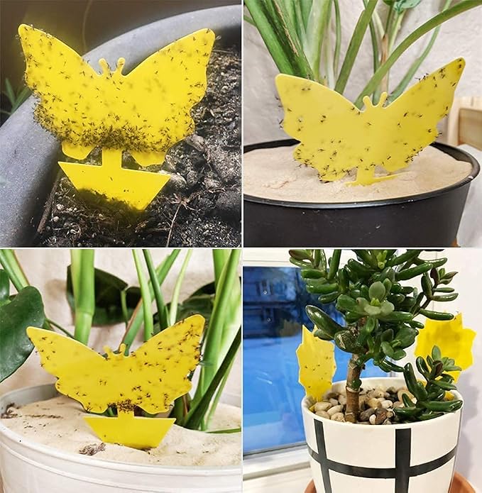 96 Pack Fruit Fly Trap for Indoors, Fungus Gnat Killer Indoor Sticky Traps for Mosquito, Bug Insect Catcher Killer for Houseplant