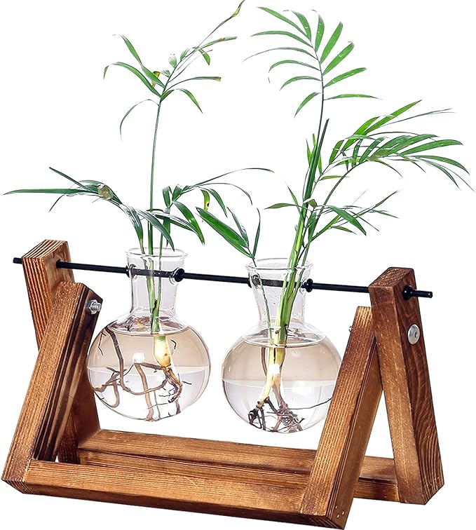 Kingbuy Glass Desktop Planter with Retro Wooden Stand, 2 Bulbs | Plant Terrarium Vase, Indoor Office Desk Decor, Accessories