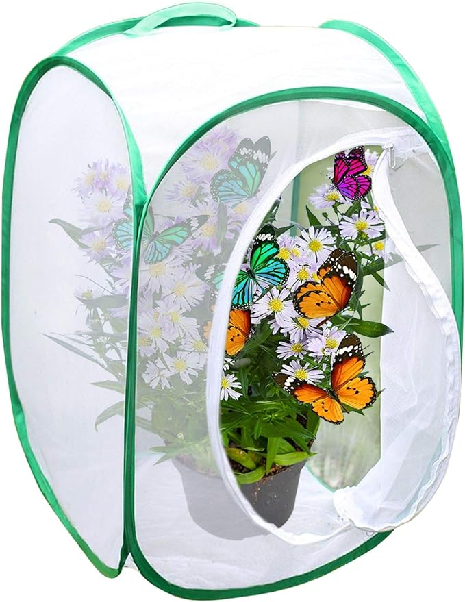 SunGrow Foldable Butterfly Habitat, 24" Butterfly Cage for Caterpillars, Create Farm, Enclosure for Breeding Soldier Fly, Ladybug, Dragonfly, or Housefly for Chicken and Reptile Feed, Green