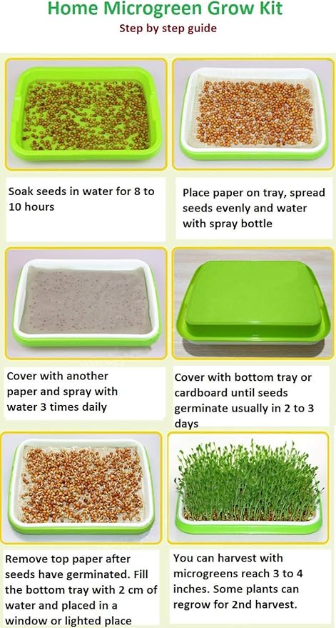 2 Pack of BPA Free Home Microgreen Soilless Hydroponics Seed Sprouter Grow Tray with Cover + Free Spray Bottle and 20 Sheets Growing Paper