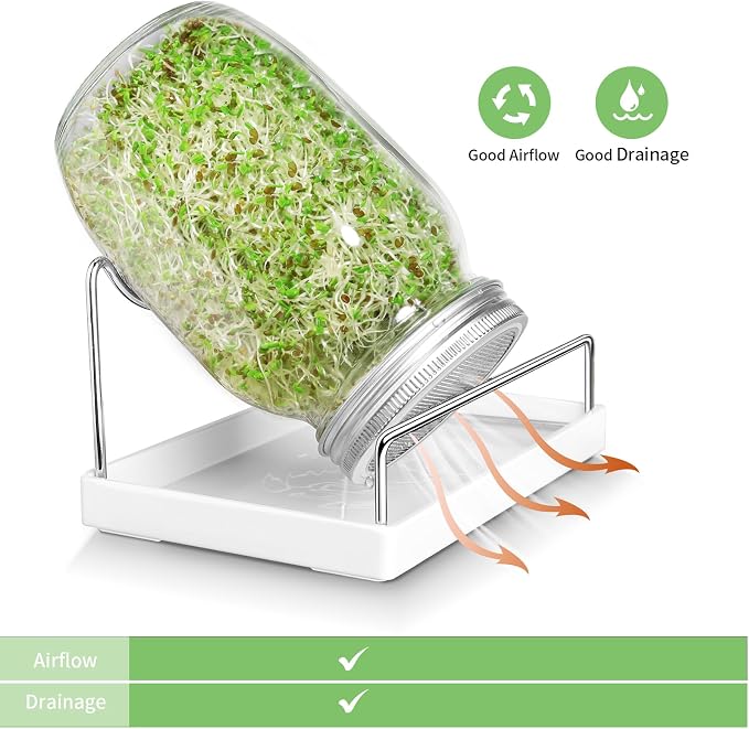 Seed Sprouting Jar Kit - 2 Wide Mouth Mason Jars with 316 Stainless Steel Sprouting Lids Covers, Drip Tray and Stand for Growing Broccoli Alfalfa Beans Sprout (Two Jars)