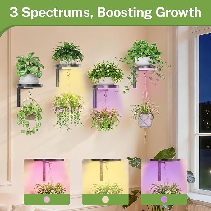 iDavosic.ly Wall Plant Holder with Grow Lights Set of 4 for Indoor Outdoor, Metal Hanger with 2 Hooks, Floating Flower Display Stand for Window, Space Saving & Easy to Assemble (Pots Not Included)