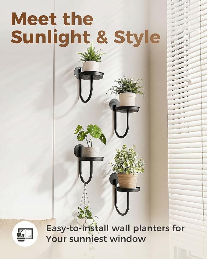 Leaf&lull Wall Planter Hanging Planters for Indoor Plants Plant Hanger Wall Mount Hanging Decor 4 Pack Black