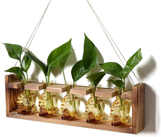 Plant Terrarium Propagation Stations Halloween Skull Planter Vase Skulls Decor with Wooden Stand Gife for Father - 5 Vases