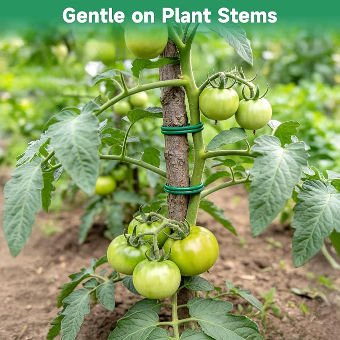 KINGLAKE Green Garden Wire with Pliers - 132 Feet 2.5mm Garden Ties Soft Plant Twist Ties Plant Wire for Climbing Plants Tomatoes Support Vines Vegetables Flowers Indoor & Outdoor Gardening Training