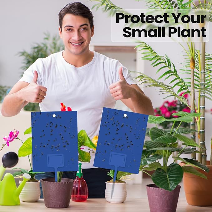 Qualirey 100 Pcs Blue 6 x 8 Inch Sticky Traps for Gnats Dual Sided Fruit Fly Sticky Traps for Indoor and Outdoor Plant with Twist Ties and Plastic Holders for Fungus Gnats, Bug, Flying Insect