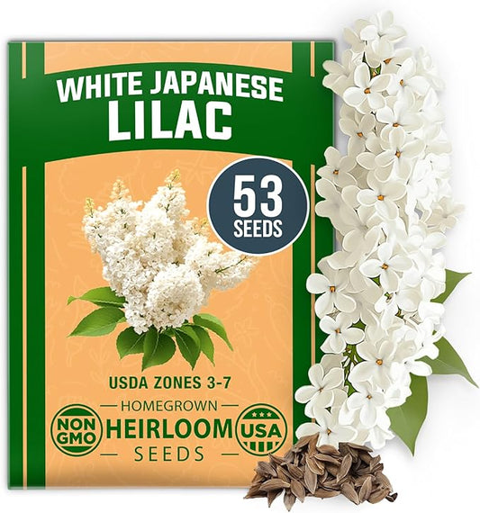 HOME GROWN 53 White Lilac Flower Seeds Non-GMO, Heirloom Tree Seeds for Planting, Fragrant Flowering Tree Seeds for Landscaping, Pollinator Gardens, and Ornamental Borders (Syringa reticulata)