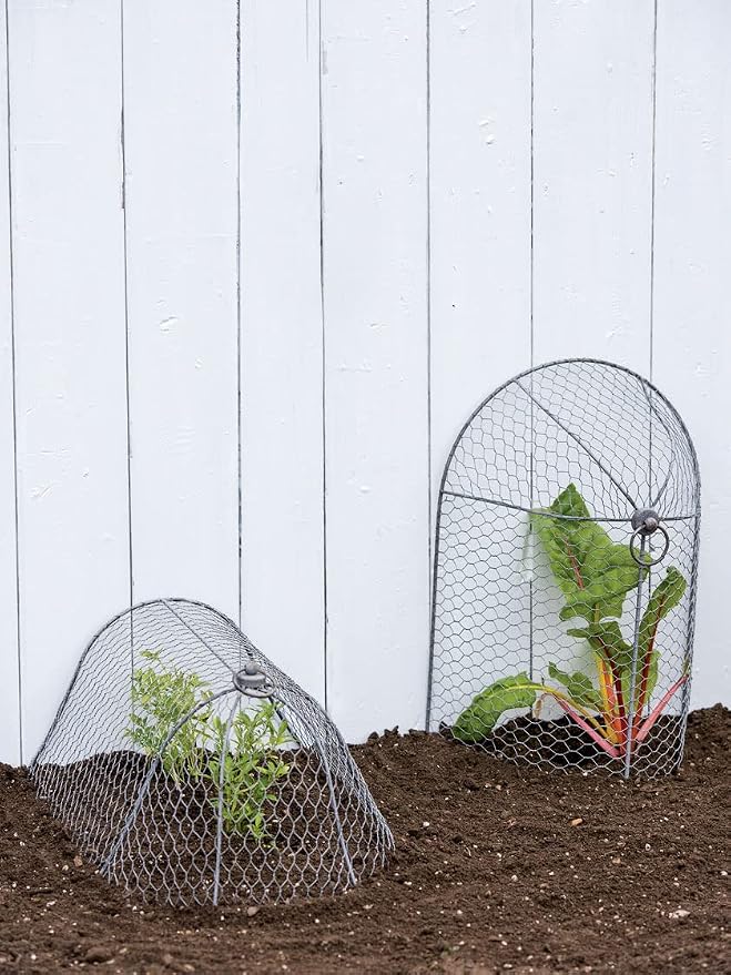 Gardener’s Supply Company Chicken Wire Cloche Garden Row Plant Protector | Sturdy Metal Protection for Seedlings and Crops from Wild Animals & Pets | 2 Section Set
