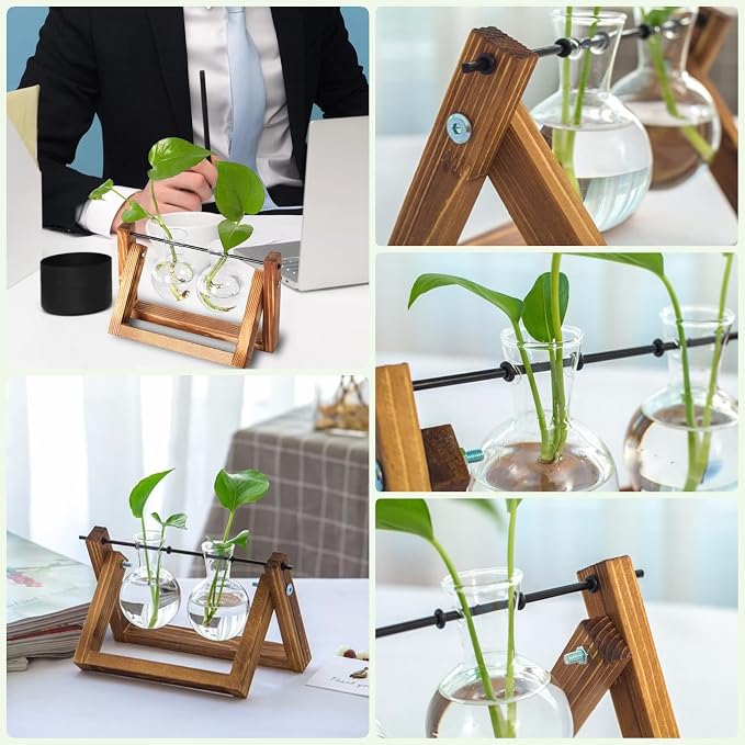 Kingbuy Glass Desktop Planter with Retro Wooden Stand, 2 Bulbs | Plant Terrarium Vase, Indoor Office Desk Decor, Accessories