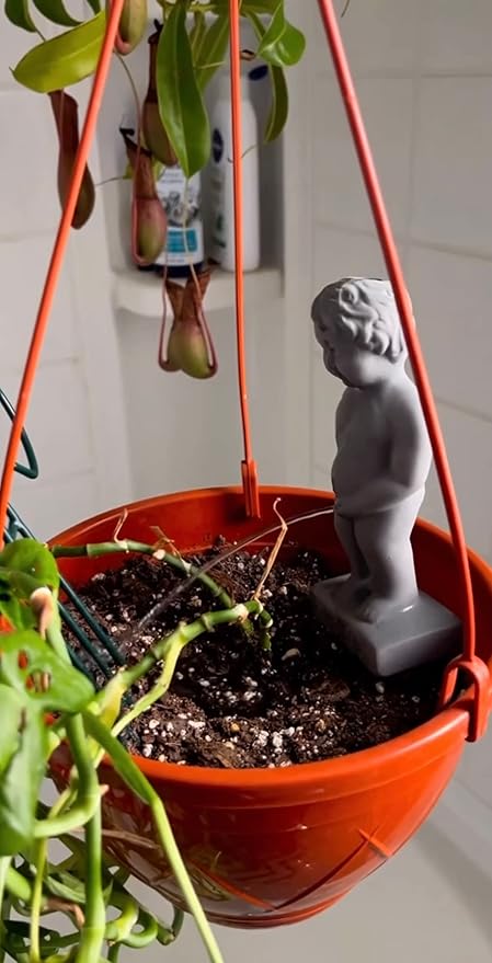 NPW Plant Life “Pee My Plants” Self-Watering Stake Statue – Funny Self-Watering Plant Spike, Novelty Garden & Houseplant Decor