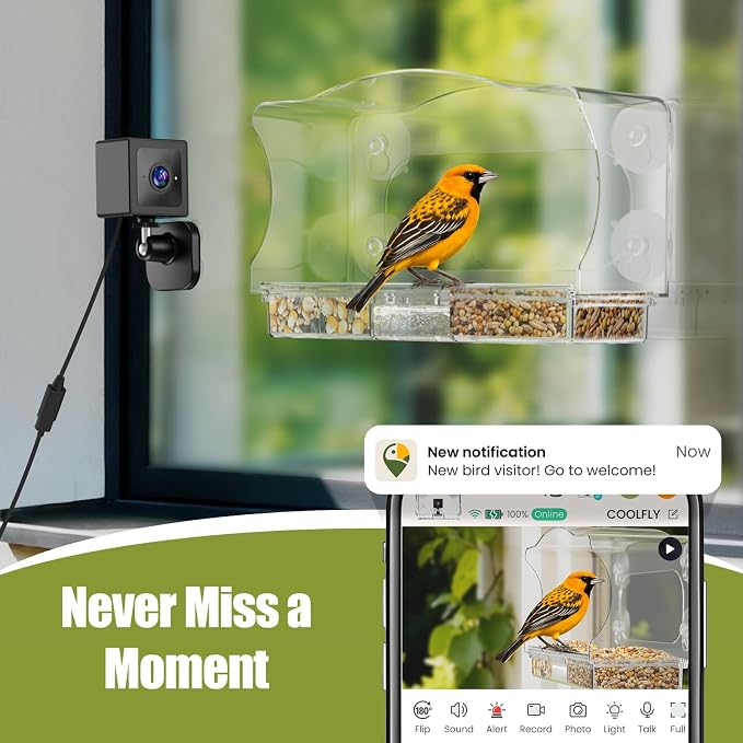 Waterproof Smart Window Bird Feeder with Camera & AI Bird Identifier, 2K HD Auto-Capture Video, Window Mounted with Strong Suction Cups, Unique Gift for Elderly Parents & Birding Lovers
